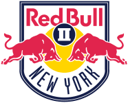 New York RB II logo